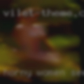 Horny women seeking couples